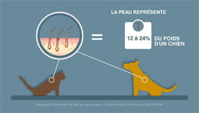 SCHITTERENDE EN MOOIE HUID